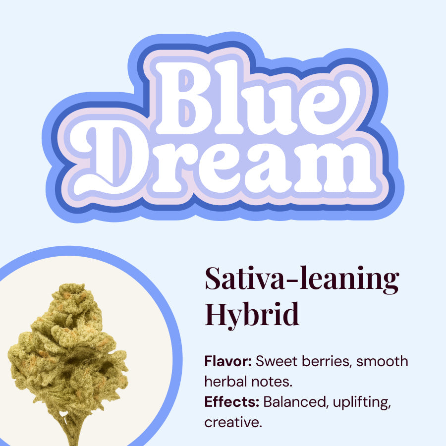 20 Pack of Pixxi Rolls