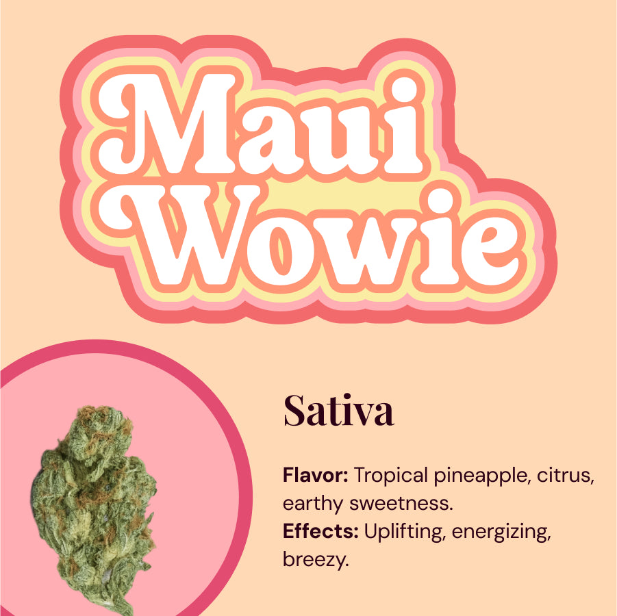 20 Pack of Pixxi Rolls