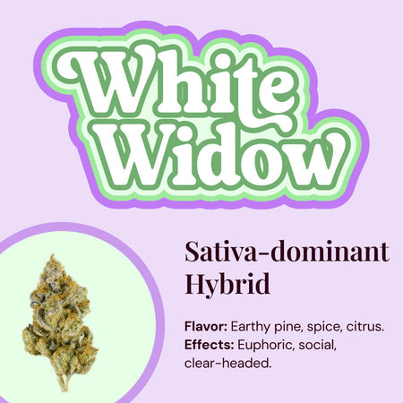 White Widow